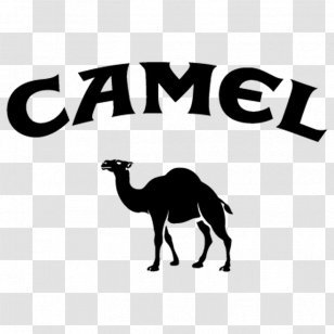 Dromedary Camel Crush Cigarette Joe - Logo Transparent PNG
