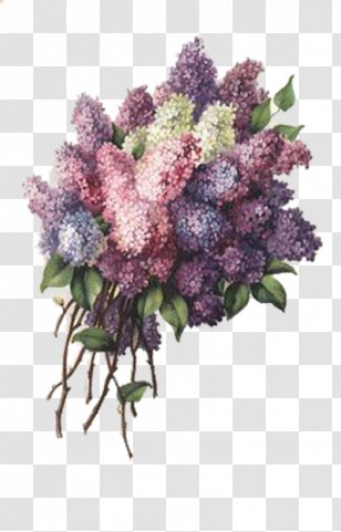 Paper Birthday Vintage Clothing Greeting Card Gift - Cut Flowers - Purple Lavender Transparent PNG