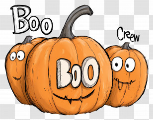 Boo Crew - Funny Pumpkin Boo Crew Text For Halloween Transparent PNG