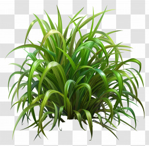Grass Greenery - Lush Green Plant Transparent PNG