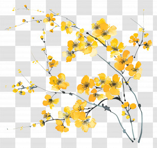 Yellow Flowers - Delicate Yellow Flowers On A Branch Illustration Transparent PNG