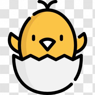 Chicken Eggshell Clip Art - Snout Transparent PNG