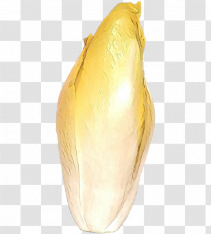Vegetable Plant Food Herbaceous Plant Transparent PNG