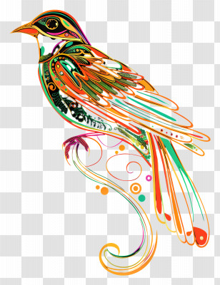 Line Art - Elegant Colorful Bird Transparent PNG