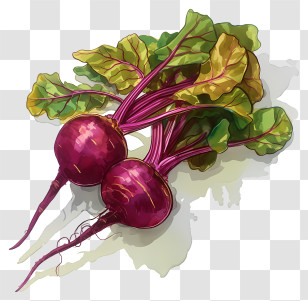 Watercolor Beets - Colorful Vegetables With Fresh Leaves Transparent PNG