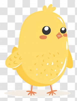 Cute Cartoon Yellow Chick - Cute Cartoon Yellow Chick Illustration Transparent PNG