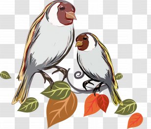 Vector Hand Painted Bird - Animal - Art Transparent PNG