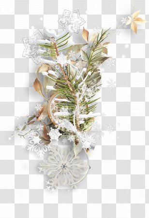 Biscuit Cookie Snowflake - Follaje - Cookies Foliage Ribbons Transparent PNG