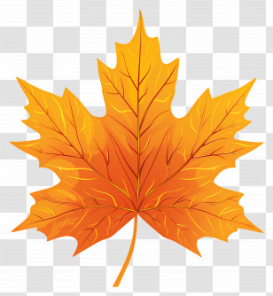 Autumn Maple Leaf - Bright Orange Maple Leaf Illustration Transparent PNG