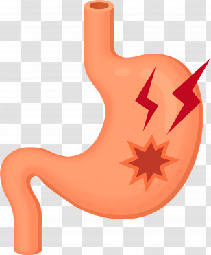 Stomach Pain Icon - Stomach Pain Icon Illustration Transparent PNG