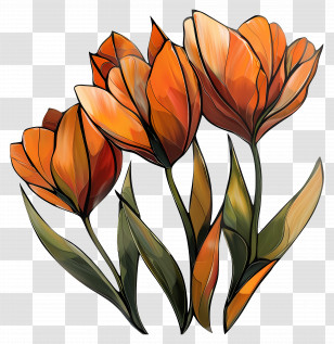 Tulips - Orange Tulip Flowers Illustration Transparent PNG