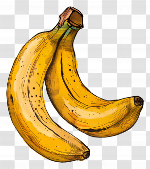 Banana - Illustration Of Two Yellow Bananas Transparent PNG