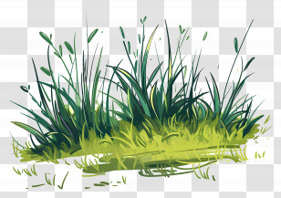Lawn Grass - Illustration Of Lush Green Grass Transparent PNG