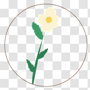 White Flower - Simple Flower In Circle Transparent PNG