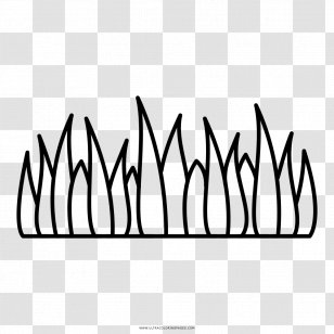 P&K Lawn Care LLC Line Art Drawing Coloring Book - Painting Transparent PNG