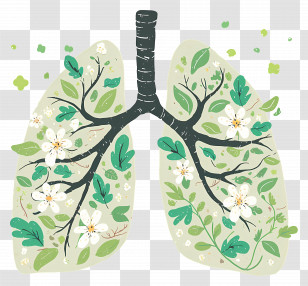 Green Lungs - Botanical Art Of Lungs With Flowers And Leaves Transparent PNG