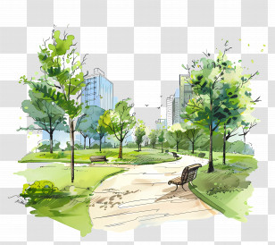 Urban Park - City Park Landscape With Trees And Pathway Transparent PNG