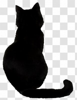 Chat Noir Png Images Transparent Chat Noir Images