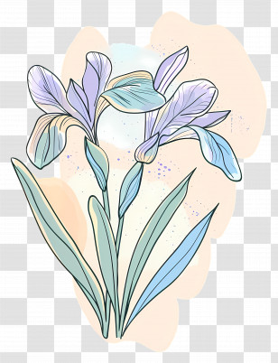 Iris Flower - Artistic Iris Flower Illustration Transparent PNG