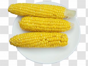 Corn On The Cob Maize - Gold - Article Transparent PNG