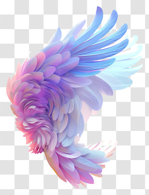 Angel Wings - Colorful Gradient Wing Feathers Illustration Transparent PNG