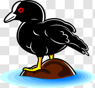 Icon - Black Bird On Rock Cartoon Drawing Transparent PNG