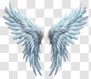 Angel Wings - Detailed White Angel Wings Illustration Transparent PNG