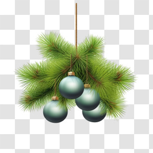 Christmas Balls - Christmas Ornaments On Pine Branch Transparent PNG