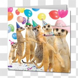 Meerkat Wedding Invitation Greeting & Note Cards Birthday Cake - Christmas - Card Transparent PNG