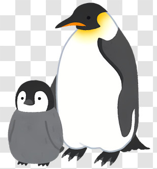 Penguin - Penguin And Chick Duo Illustration Transparent PNG
