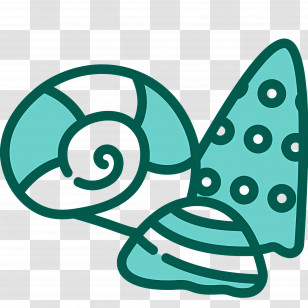 Shells - Seashells And Ocean Objects Transparent PNG