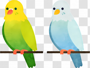 Cartoon Bird - Colorful Parrots Sitting On Branch Illustration Transparent PNG