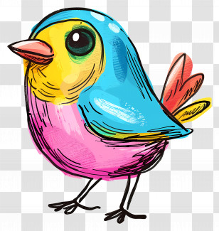 Bird - Vivid And Colorful Cartoon Bird Drawing Transparent PNG