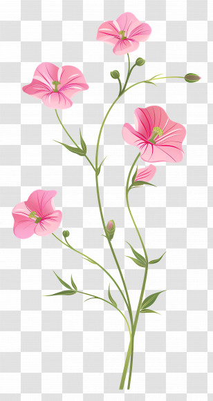 Pink Flowers - Light Pink Flower Branch Illustration Transparent PNG