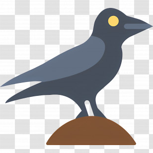 Raven - Black Crow With Yellow Eye Transparent PNG
