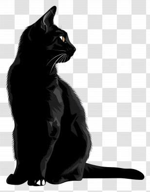 Cat - Black Cat Illustration In Profile View Transparent PNG