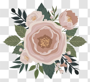 Pink Roses - Beautiful Pink Floral Decoration Design Transparent PNG
