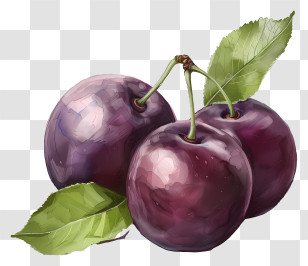 Plums - Realistic Purple Plums With Leaves Illustration Transparent PNG