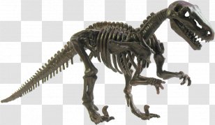 Plateosaurus Tyrannosaurus Meat-Eating Dinosaurs Abydosaurus - Dinosaur Transparent PNG