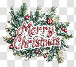 Merry Christmas - Merry Christmas Greeting With Pine Branches Transparent PNG