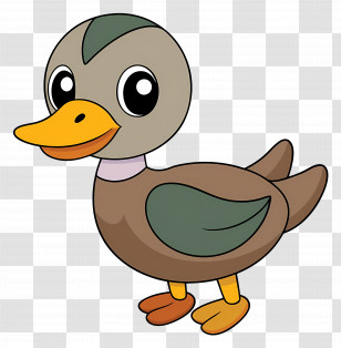 Cartoon Duck - Cartoon Duck Illustration Transparent PNG