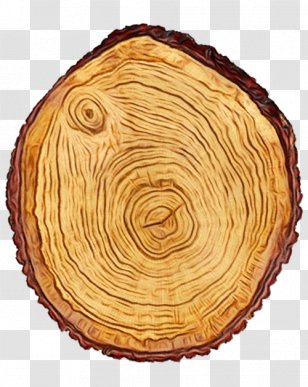 Tree Dish Food Pie Baked Goods - Wood Cuisine Transparent PNG