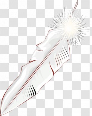 Bird White Feather Wing - Resource Transparent PNG