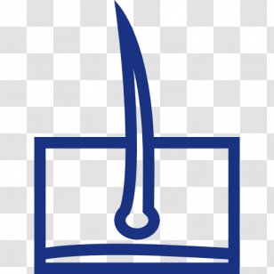 Pattern Hair Loss Transplantation Scalp Transparent PNG