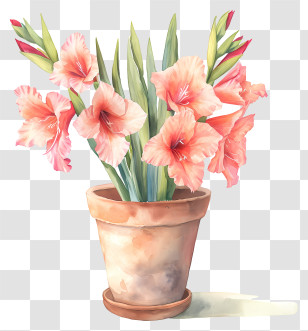 Gladiolus - Watercolor Potted Gladiolus Transparent PNG
