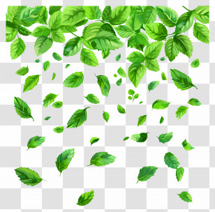 Falling Leaves - Falling Green Leaves Pattern Design Transparent PNG