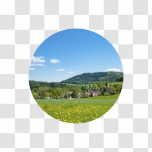WÃ¼rttemberg Moosbronn Heimat Spa Meadow - Land Lot - Black Forest Germany Transparent PNG