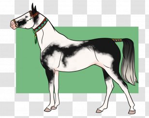 Stallion Foal Mustang Mare Colt - Horse Like Mammal - Saxophone Animal Transparent PNG