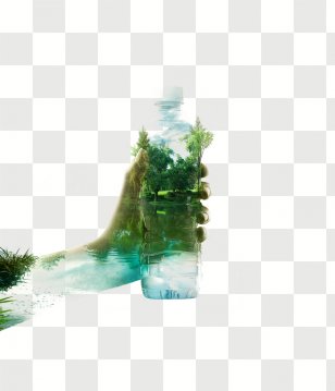 Graphic Design Photography - Exposure - Leaves Bottle Transparent PNG