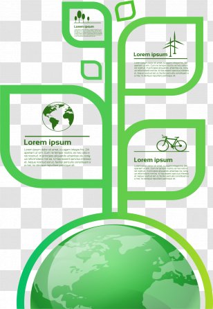 Infographic Euclidean Vector Illustration - Grass - Leaf Structure Information Chart Transparent PNG